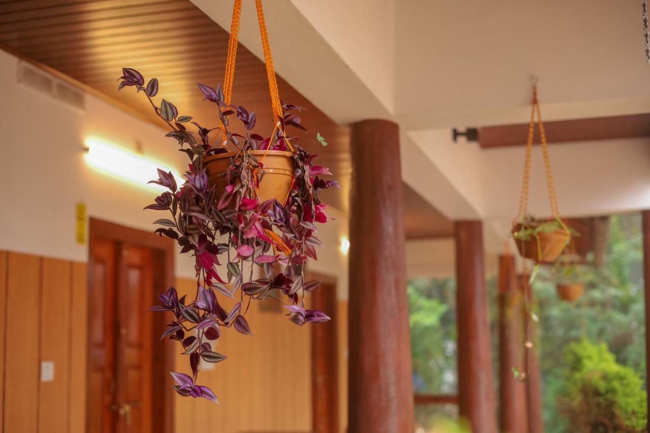 Swastha Plantation Homestay Kaniyambetta ภายนอก รูปภาพ