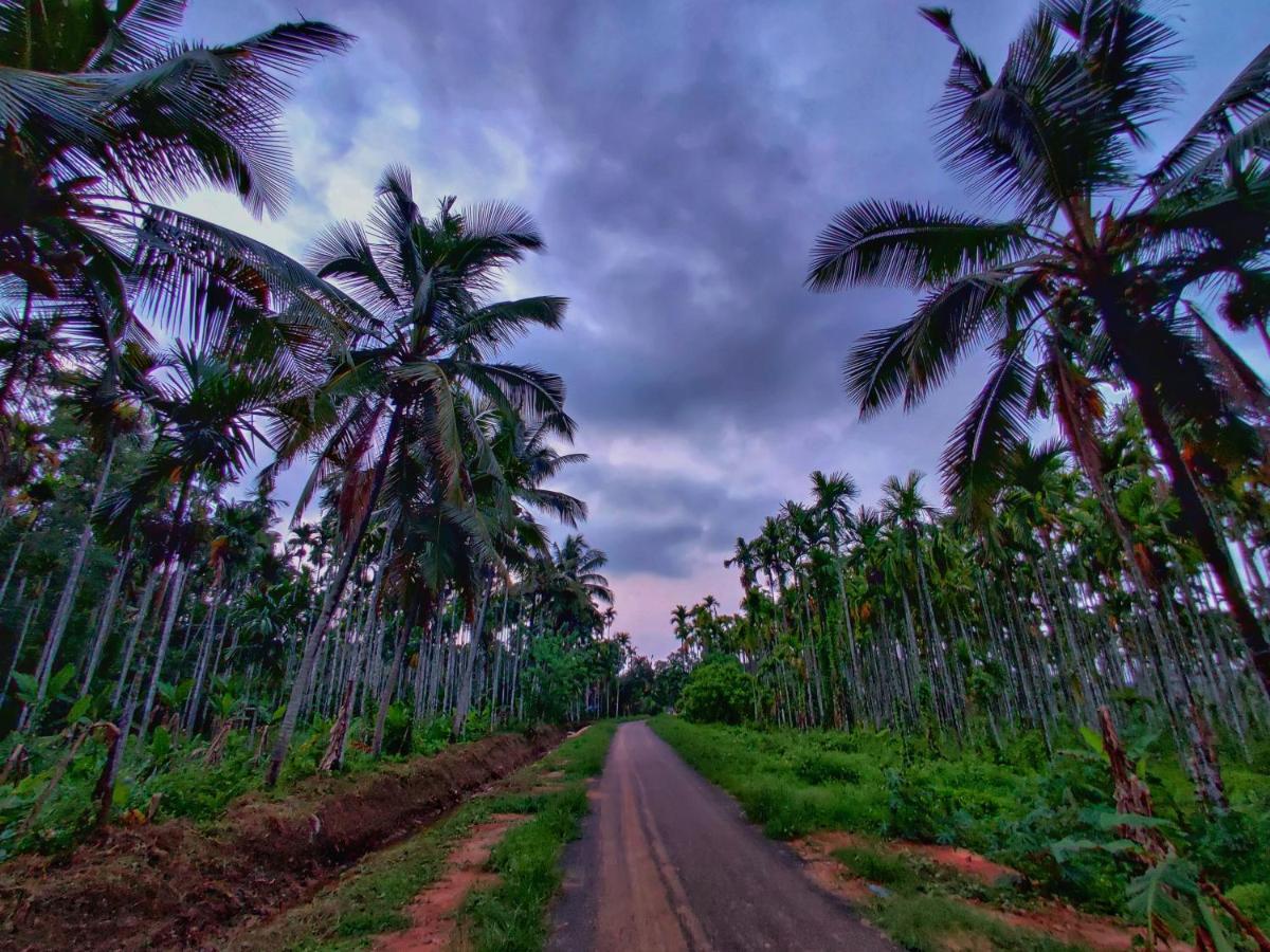 Swastha Plantation Homestay Kaniyambetta ภายนอก รูปภาพ