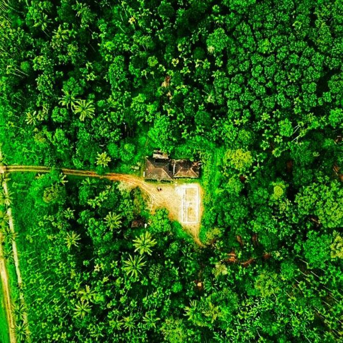 Swastha Plantation Homestay Kaniyambetta ภายนอก รูปภาพ